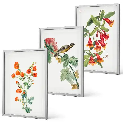 Conjunto de quadros decorativos modernos com flores pintadas e pássaro