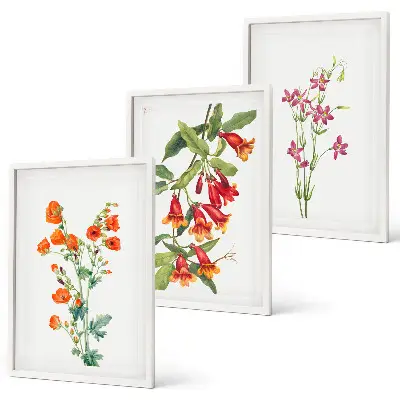 Conjunto de 3 quadros com moldura estampa de pintura floral retrô vintage