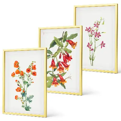 Conjunto de 3 quadros com moldura estampa de pintura floral retrô vintage