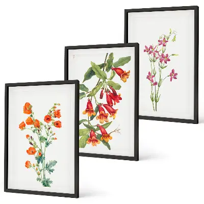 Conjunto de 3 quadros com moldura estampa de pintura floral retrô vintage