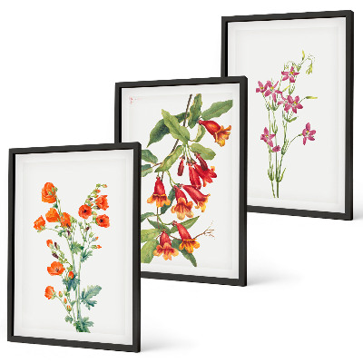Conjunto de 3 quadros com moldura Pintura floral retrô vintage