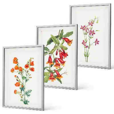Conjunto de 3 quadros com moldura estampa de pintura floral retrô vintage