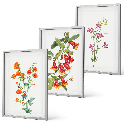 Conjunto de 3 quadros com moldura Pintura floral retrô vintage