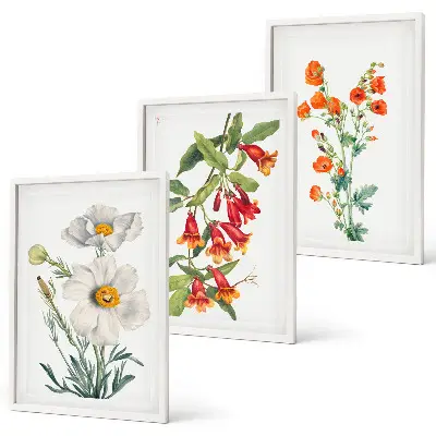 Conjunto de quadros para sala de estar estampa de arranjos florais retrô