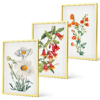 Conjunto de quadros para sala de estar estampa de arranjos florais retrô