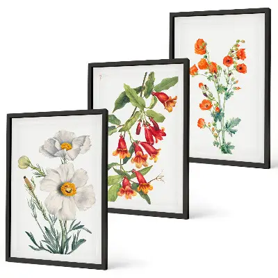 Conjunto de quadros para sala de estar estampa de arranjos florais retrô
