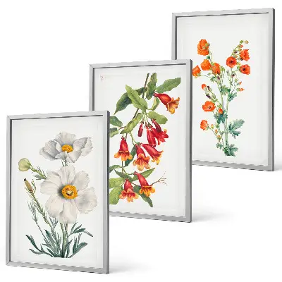Conjunto de quadros para sala de estar estampa de arranjos florais retrô