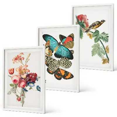 Composição de quadros moderna com flores, borboletas e pássaros em tons pastel
