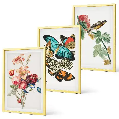 Composição de quadros moderna com flores, borboletas e pássaros em tons pastel