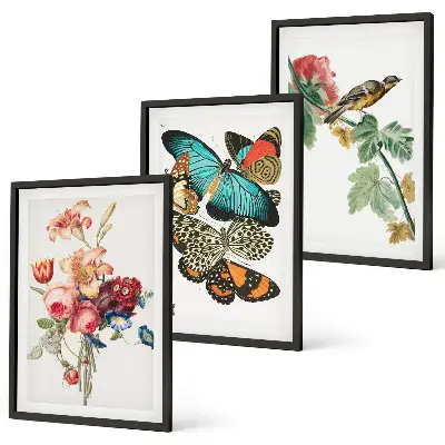 Composição de quadros moderna com flores, borboletas e pássaros em tons pastel