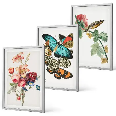 Composição de quadros moderna com flores, borboletas e pássaros em tons pastel