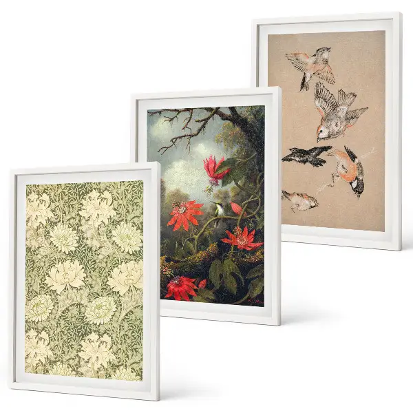 Conjunto de 3 quadros com moldura com estampas de flores, pássaros e natureza