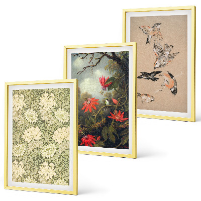 Conjunto de 3 quadros com moldura Flores, pássaros, natureza