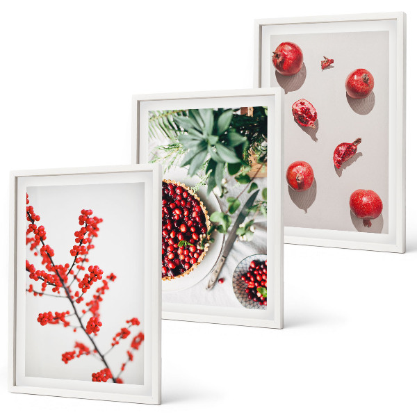 Composição de quadros moderna frutos vermelhos das plantas minimalismo