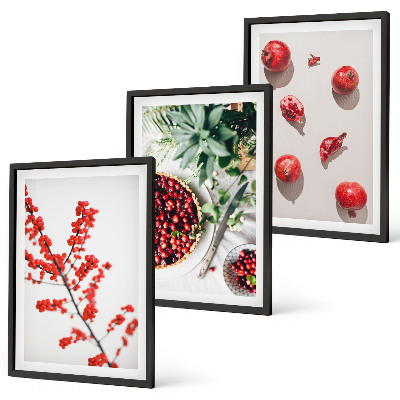 Composição de quadros moderna frutos vermelhos das plantas minimalismo