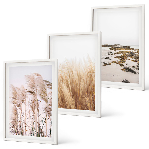 Conjunto de quadros para sala de estar Campos de capim-dos-pampas e uma praia boêmia