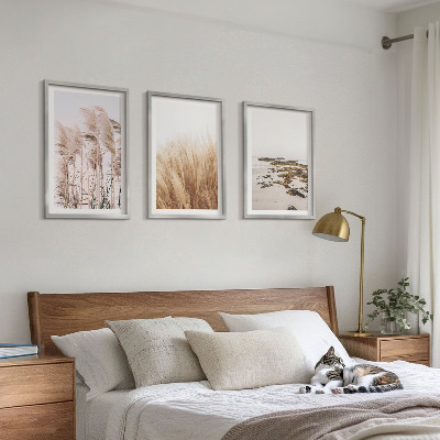 Conjunto de quadros para sala de estar Campos de capim-dos-pampas e uma praia boêmia
