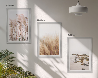 Conjunto de quadros para sala de estar Campos de capim-dos-pampas e uma praia boêmia