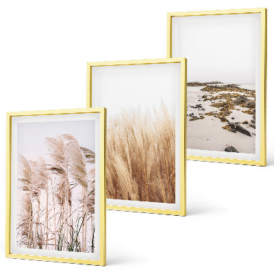 Conjunto de quadros para sala de estar Campos de capim-dos-pampas e uma praia boêmia