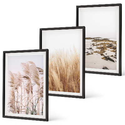 Conjunto de quadros para sala de estar Campos de capim-dos-pampas e uma praia boêmia