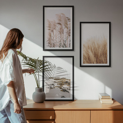 Conjunto de quadros para sala de estar Campos de capim-dos-pampas e uma praia boêmia