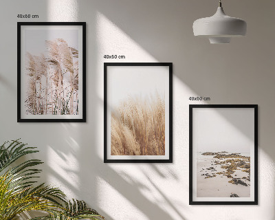 Conjunto de quadros para sala de estar Campos de capim-dos-pampas e uma praia boêmia