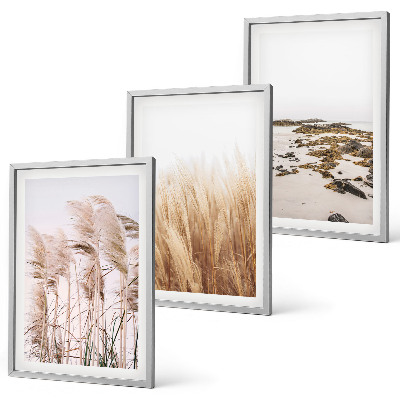 Conjunto de quadros para sala de estar Campos de capim-dos-pampas e uma praia boêmia