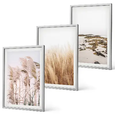 Conjunto de quadros para sala de estar com campos de capim-dos-pampas e praia boêmia