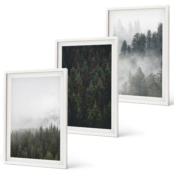 Conjunto de quadros para sala de estar Florestas verdes, neblina, natureza