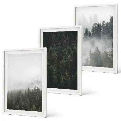 Conjunto de quadros para sala de estar com tema de florestas verdes, neblina e natureza