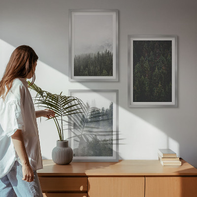 Conjunto de quadros para sala de estar Florestas verdes, neblina, natureza