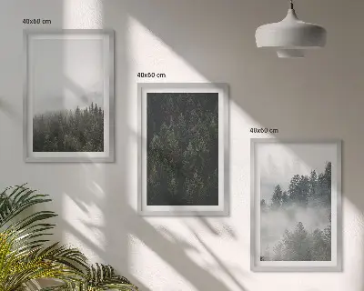 Conjunto de quadros para sala de estar com tema de florestas verdes, neblina e natureza