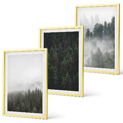 Conjunto de quadros para sala de estar com tema de florestas verdes, neblina e natureza