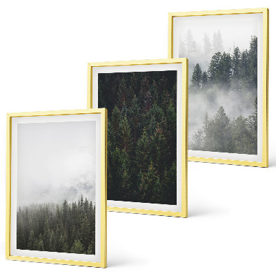Conjunto de quadros para sala de estar Florestas verdes, neblina, natureza