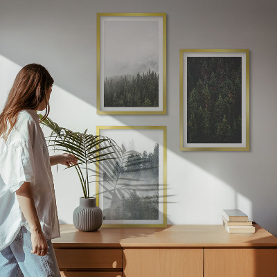 Conjunto de quadros para sala de estar Florestas verdes, neblina, natureza
