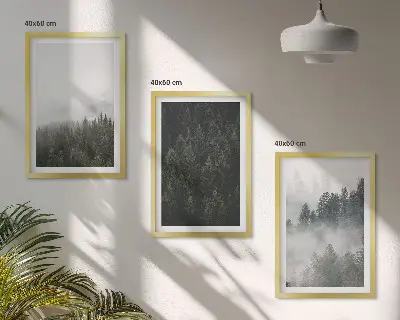 Conjunto de quadros para sala de estar com tema de florestas verdes, neblina e natureza