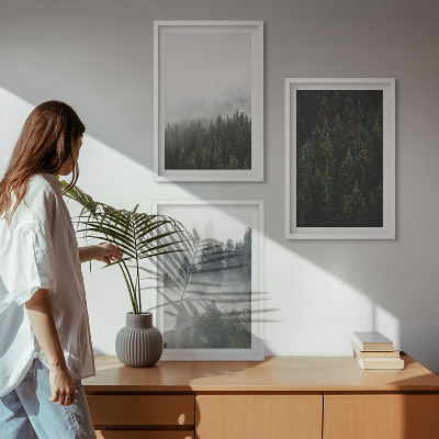 Conjunto de quadros para sala de estar Florestas verdes, neblina, natureza