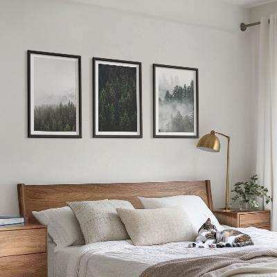 Conjunto de quadros para sala de estar Florestas verdes, neblina, natureza