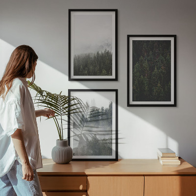Conjunto de quadros para sala de estar Florestas verdes, neblina, natureza