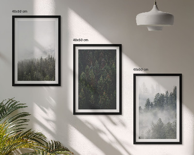Conjunto de quadros para sala de estar Florestas verdes, neblina, natureza