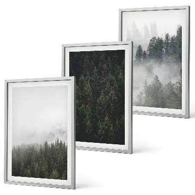 Conjunto de quadros para sala de estar com tema de florestas verdes, neblina e natureza