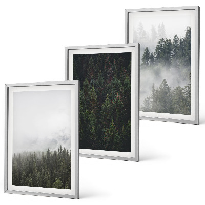 Conjunto de quadros para sala de estar Florestas verdes, neblina, natureza