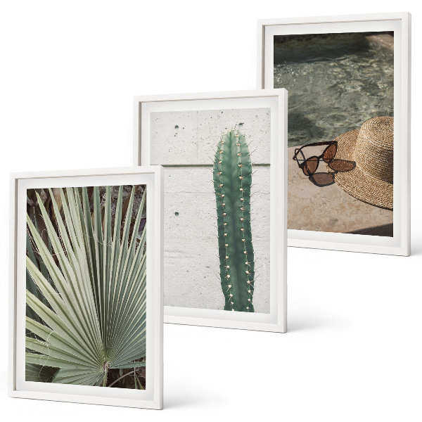 Conjunto de quadros para sala de estar Acessórios para plantas tropicais