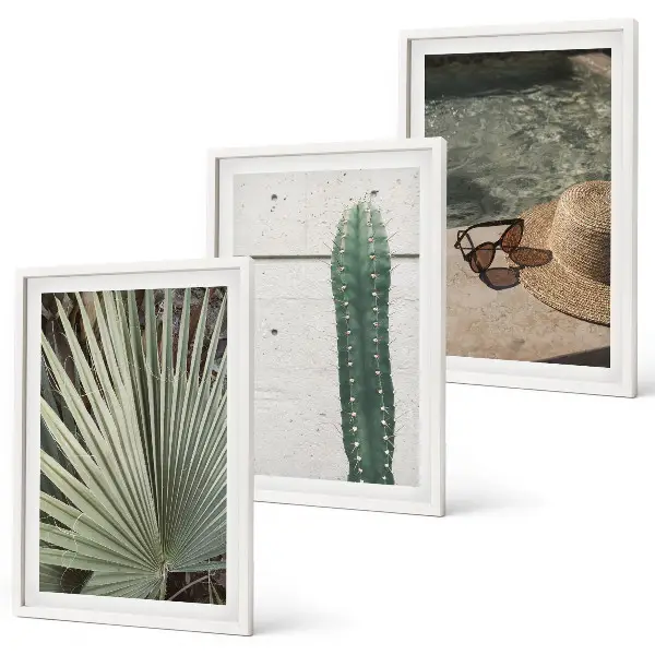 Conjunto de quadros para sala de estar com temática de acessórios para plantas tropicais