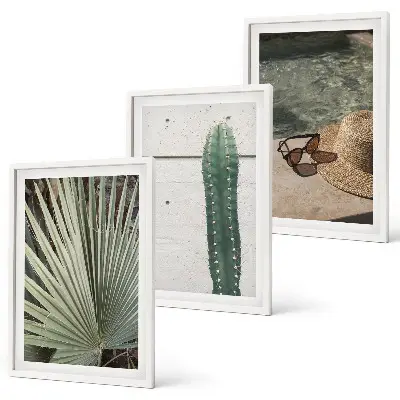 Conjunto de quadros para sala de estar com temática de acessórios para plantas tropicais