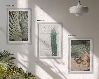 Conjunto de quadros para sala de estar Acessórios para plantas tropicais