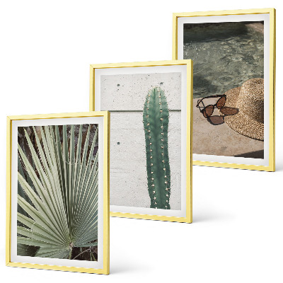 Conjunto de quadros para sala de estar Acessórios para plantas tropicais