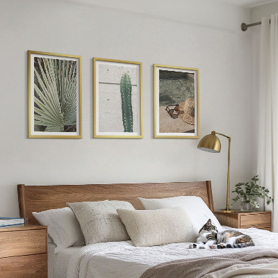 Conjunto de quadros para sala de estar Acessórios para plantas tropicais