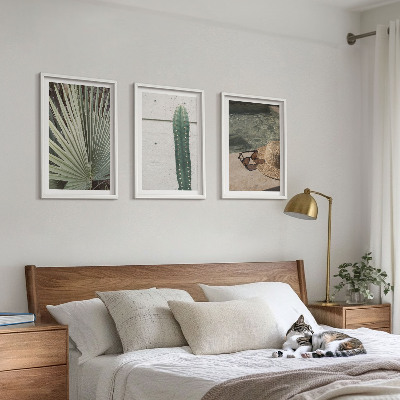 Conjunto de quadros para sala de estar Acessórios para plantas tropicais