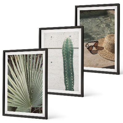 Conjunto de quadros para sala de estar Acessórios para plantas tropicais